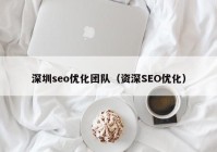 深圳seo优化团队（资深SEO优化）