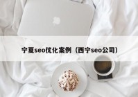 宁夏seo优化案例（西宁seo公司）