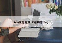 seo优化程序（程序的seo）