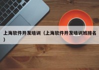 上海软件开发培训（上海软件开发培训班排名）