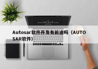 Autosar软件开发有前途吗（AUTOSAR软件）