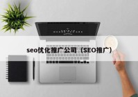 seo优化推广公司（SEO推广）